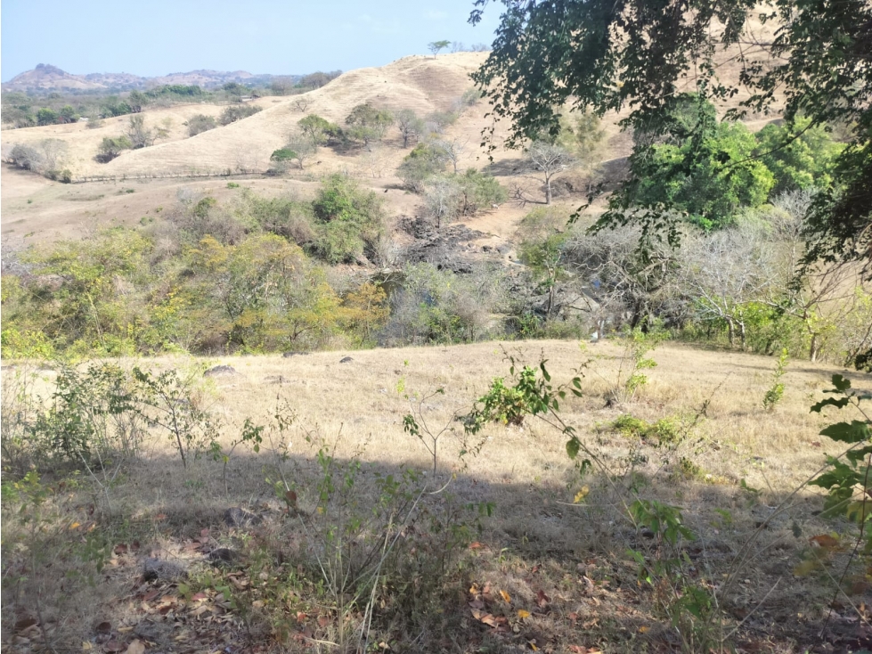 Venta de terreno de 2.2 hectáreas en Guararé, Los Santos - 4