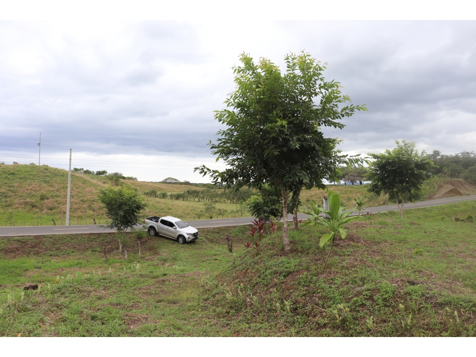 VENTA DE LOTE EN CAÑAS CERCA DE PLAYA VENAO - 3