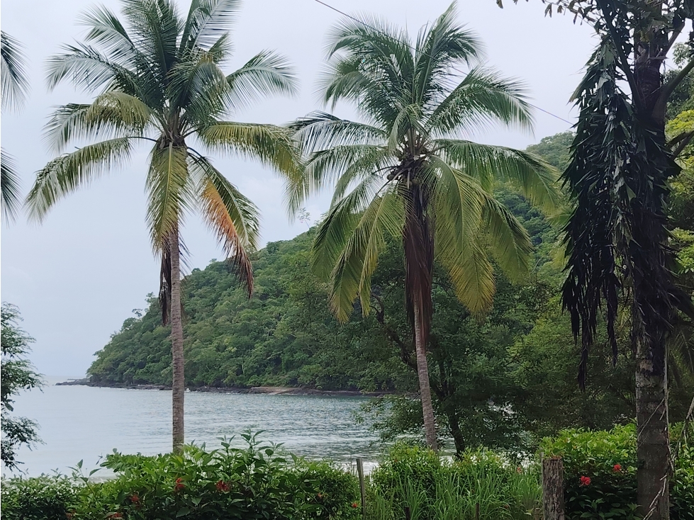 Venta de lote frente al mar en Playa Bucaro, Tonosí Los Santos - 4