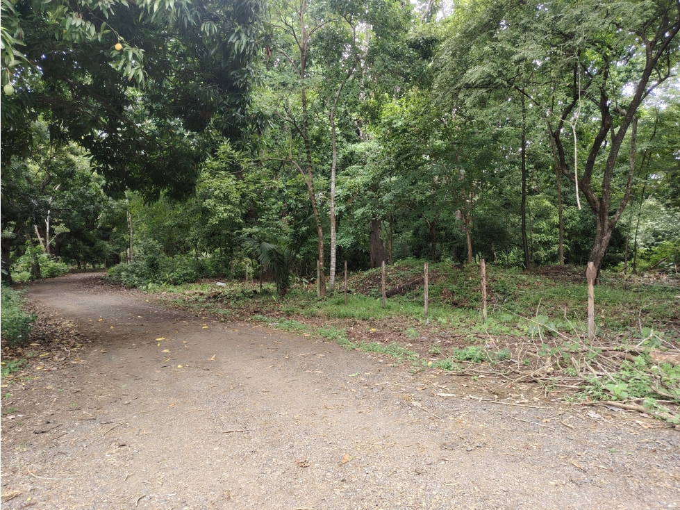 Venta de lote en Playa Guanico, Tonosí Los Santos - 5