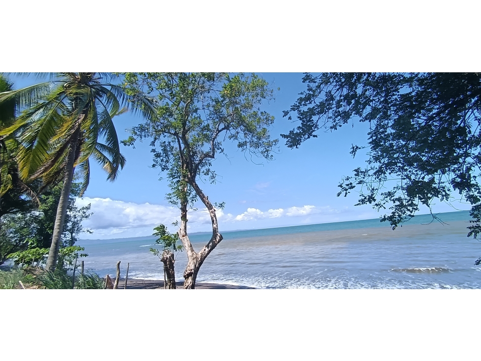 Venta de lote titulado en Bucaro, Tonosí Los Santos - 6