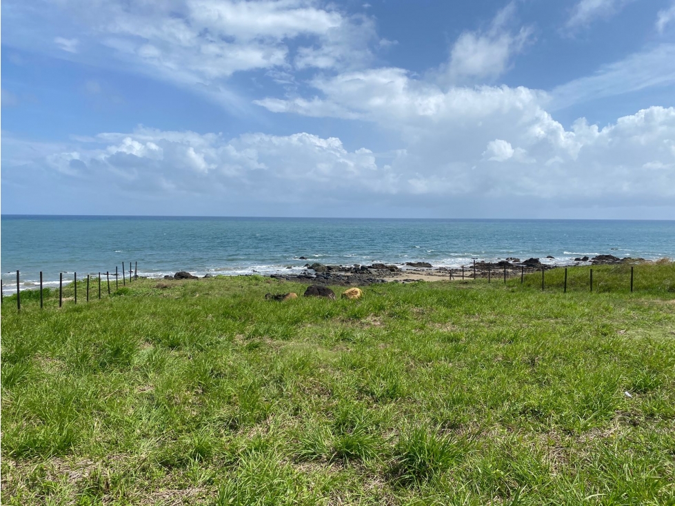 Venta de terreno frente al mar en Pedasí - 4