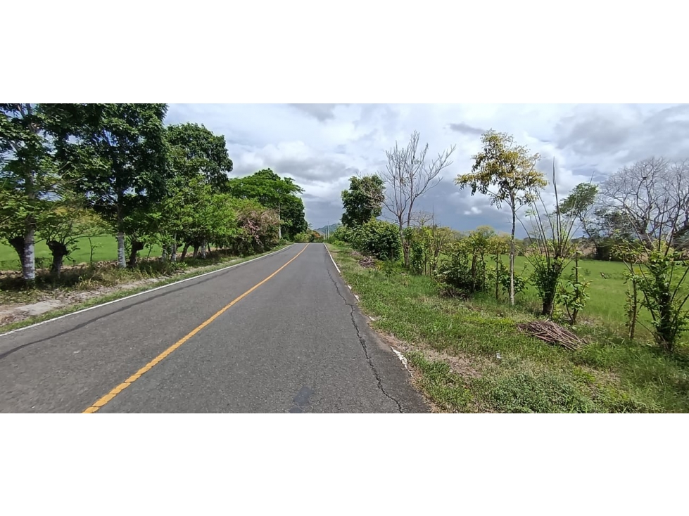 Terreno en venta en Tonosí Vía Bucaro - 4
