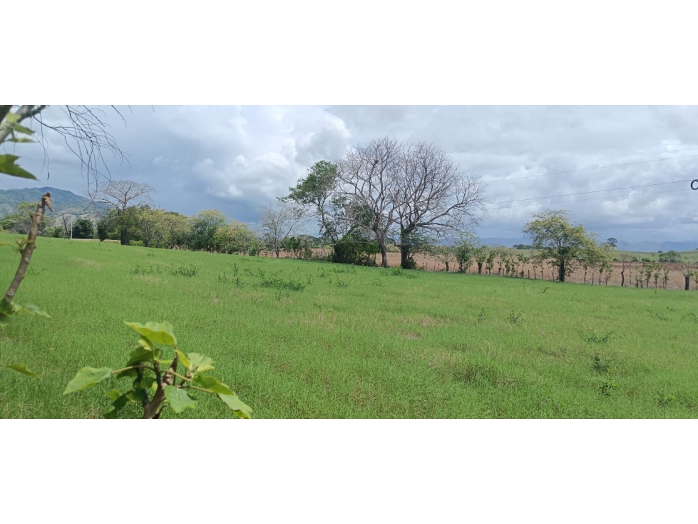 Venta de Lote Titulado de 1,005 m² en Tonosí - 6