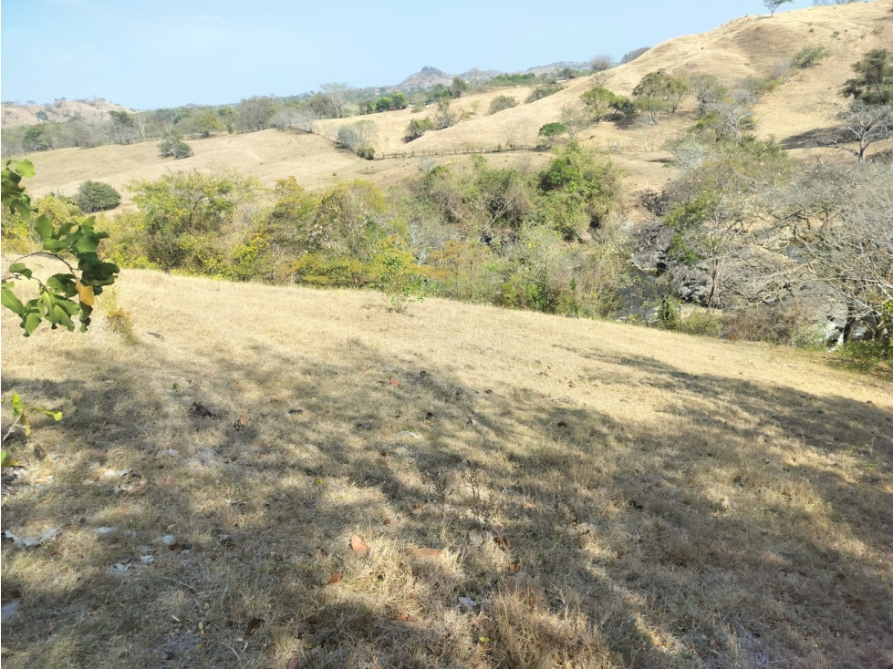 Venta de terreno de 2.2 hectáreas en Guararé, Los Santos - 5