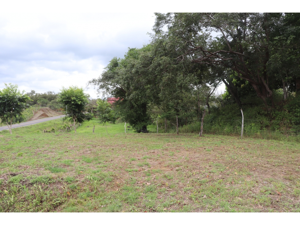 VENTA DE LOTE EN CAÑAS CERCA DE PLAYA VENAO - 4