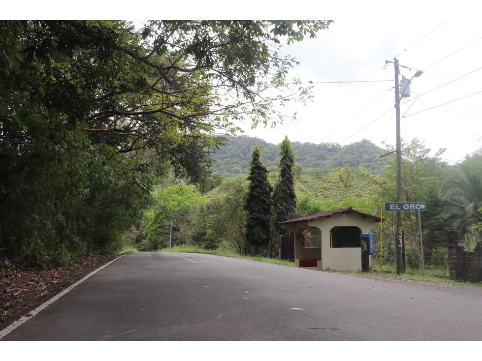 VENTA DE FINCA EL LORO, VÍA LAS TABLAS / TONOSÍ - 2