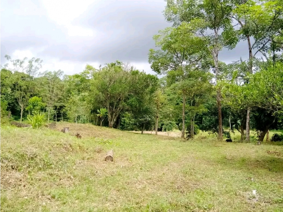 VENTA DE FINCA EN TOLÚ, LOS SANTOS - 5