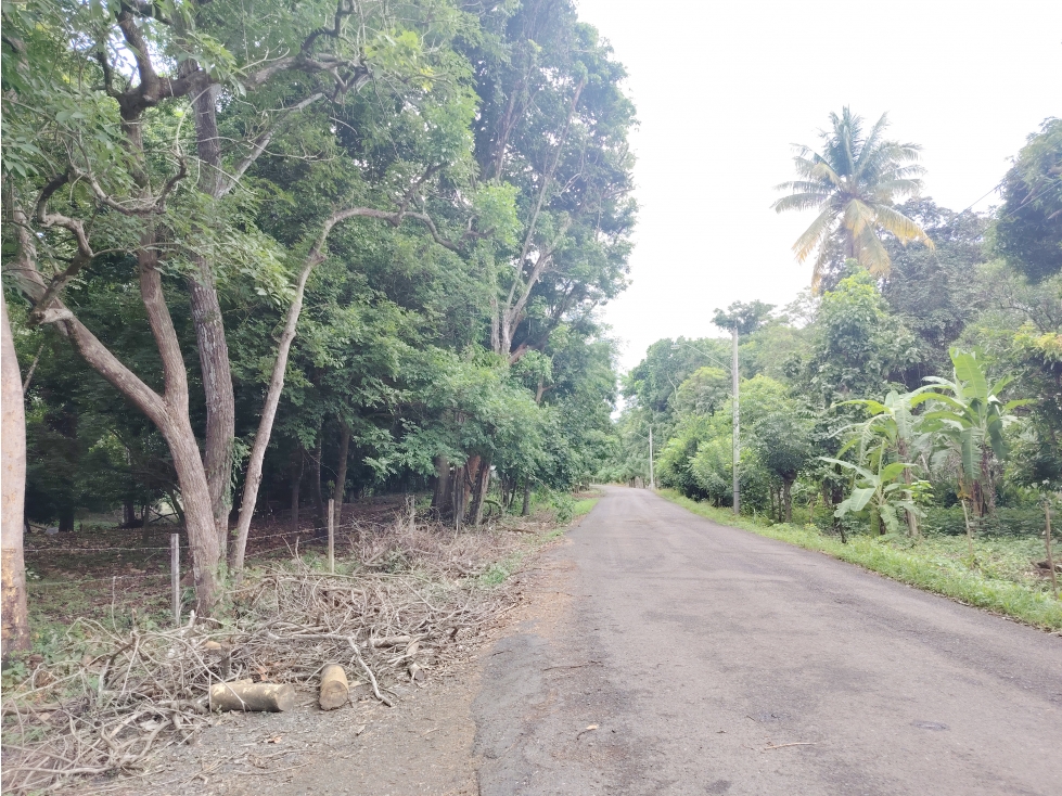 Venta de lote en Playa Guanico, Tonosí Los Santos - 6