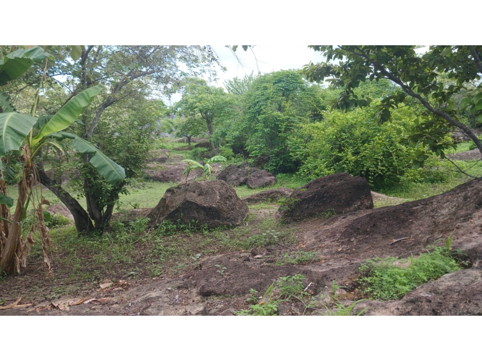 Venta de terreno en Nueva Gorgona, Chame — foto 4