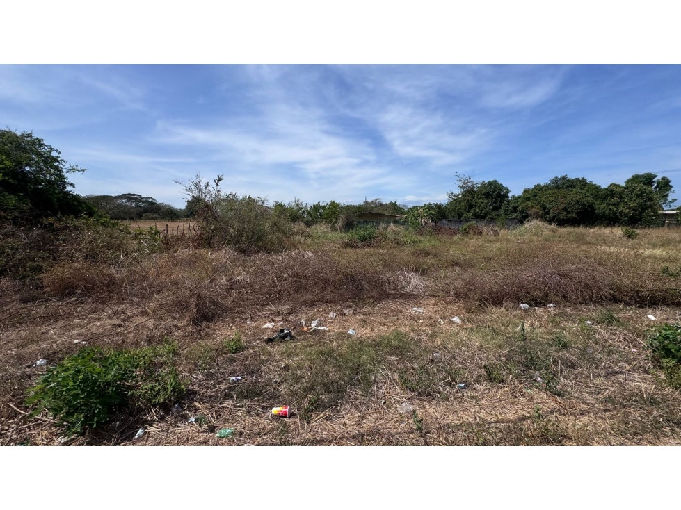Venta de lotes de terreno en Chitré - 3