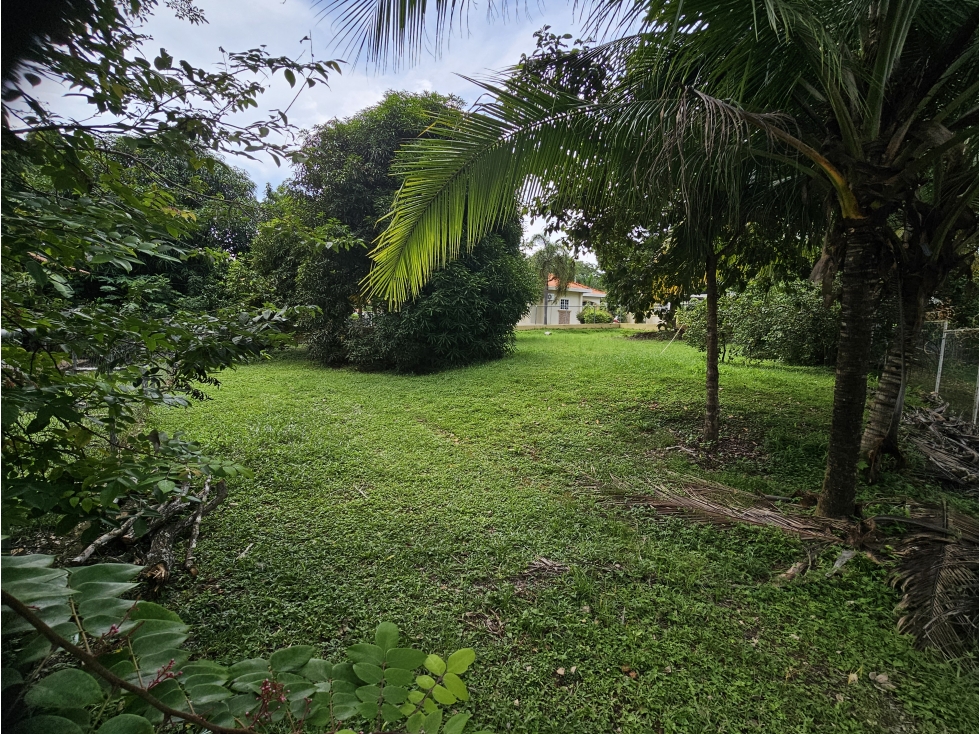 Venta de terreno con casa en Cantarrana, Chitré - 2
