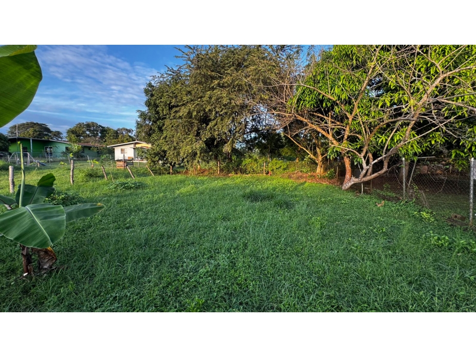 Venta de terreno en La Primavera, las Tablas. - 4