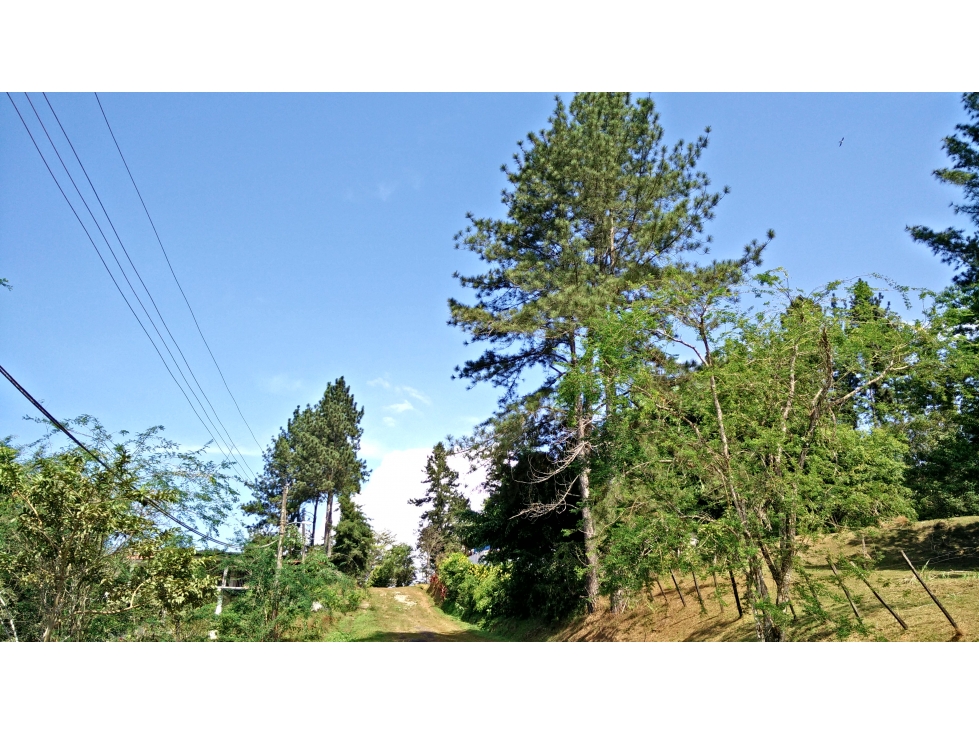 Venta de terreno en Cerro Azul - 5