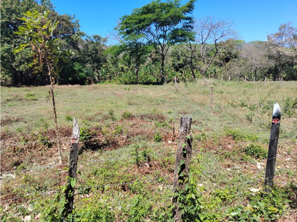 Terreno en venta en Playa Guánico, Tonosí A pasos del mar - 5