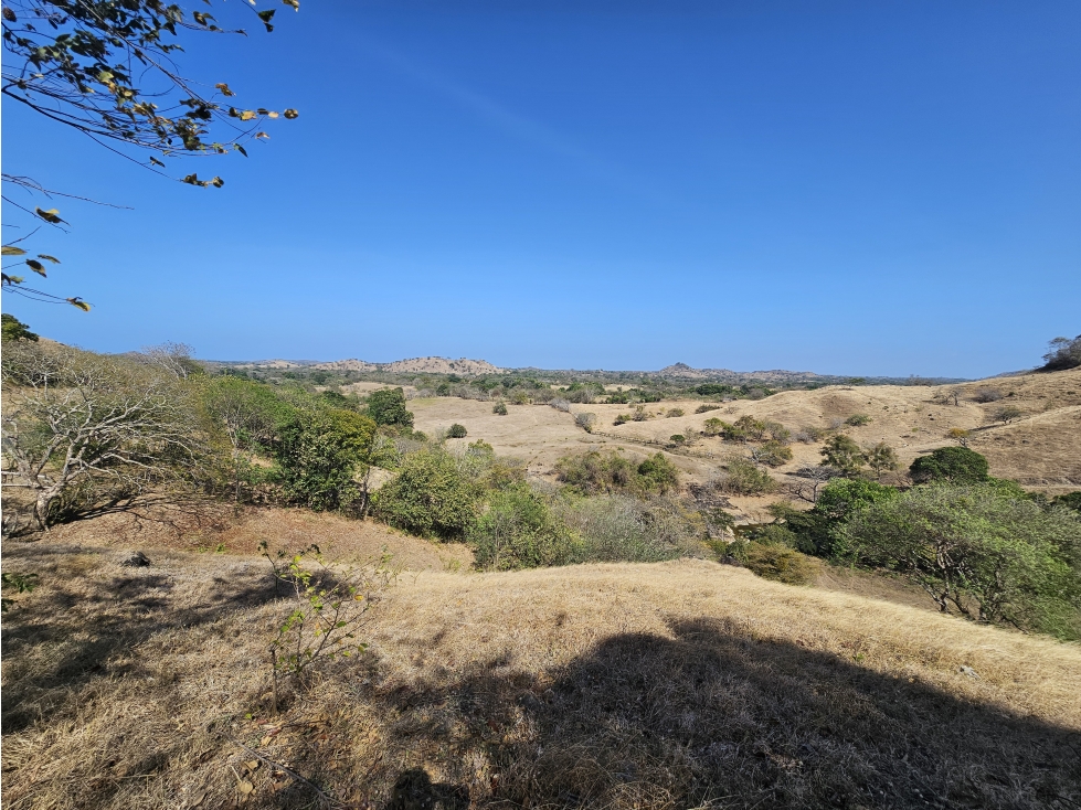 Venta de terreno de 2.2 hectáreas en Guararé, Los Santos - 2