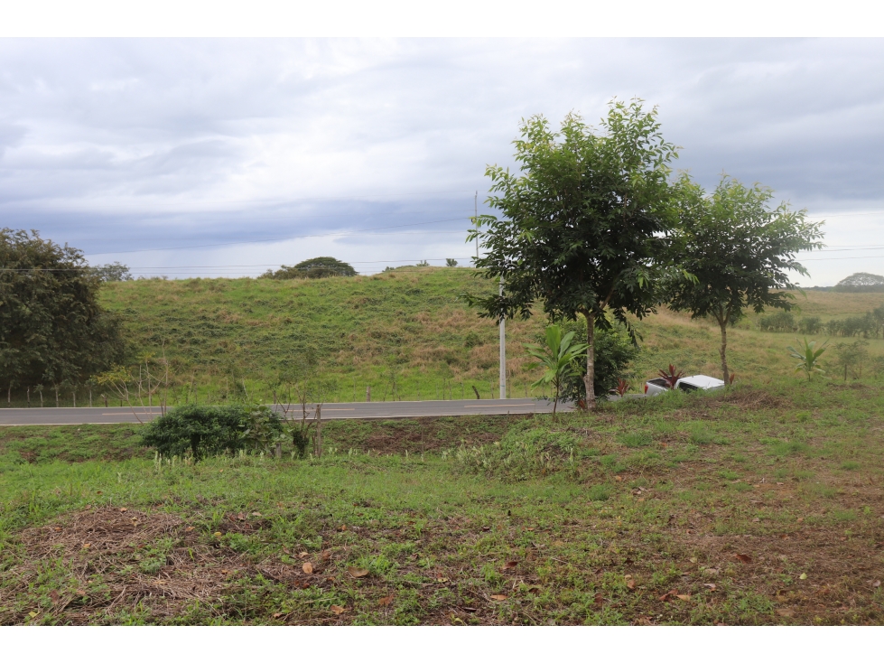 VENTA DE LOTE EN CAÑAS CERCA DE PLAYA VENAO - 5