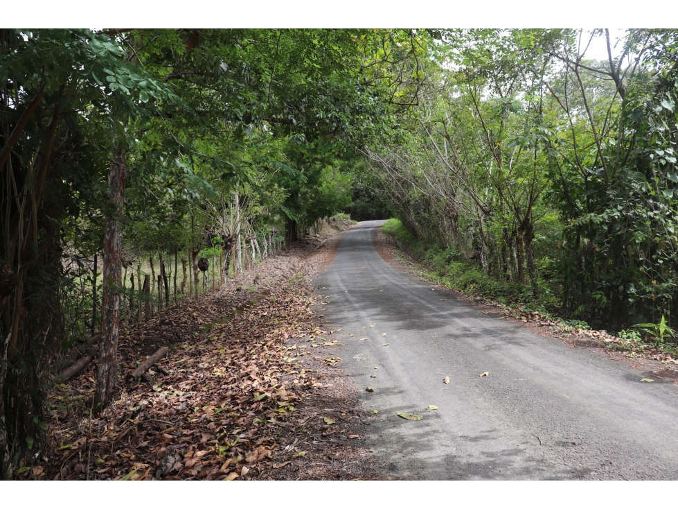 VENTA DE FINCA EL LORO, VÍA LAS TABLAS / TONOSÍ - 3