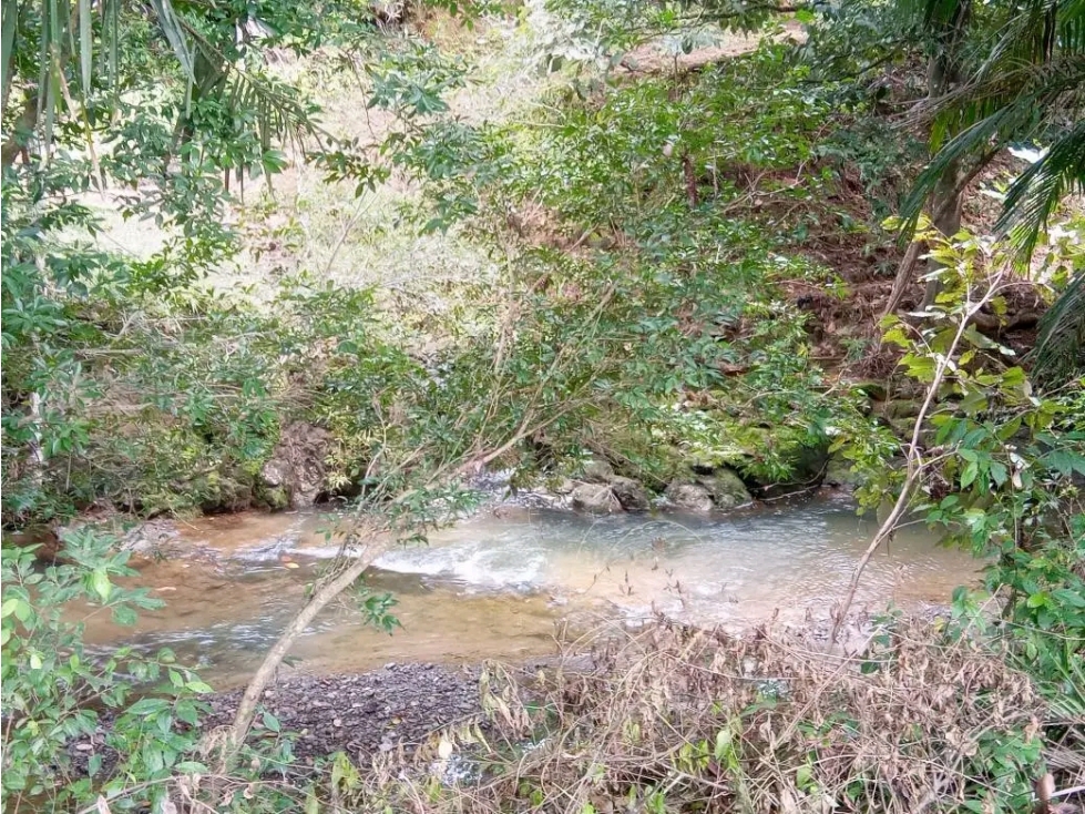 VENTA DE FINCA EN TOLÚ, LOS SANTOS - 6