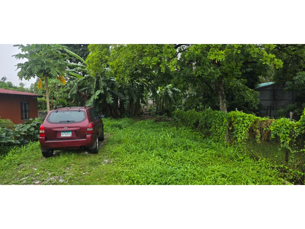 Venta de terreno en Parque Lefevre. MY - 4