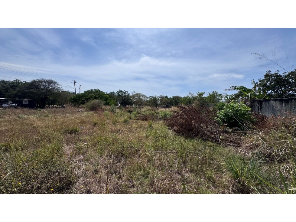 Venta de lotes de terreno en Chitré - 4