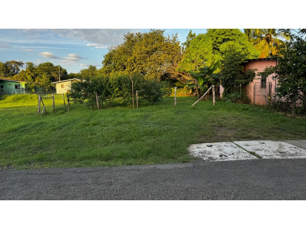 Venta de terreno en La Primavera, las Tablas. - 5