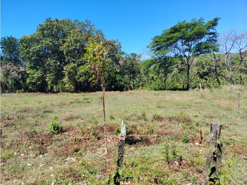 Terreno en venta en Playa Guánico, Tonosí A pasos del mar - 6