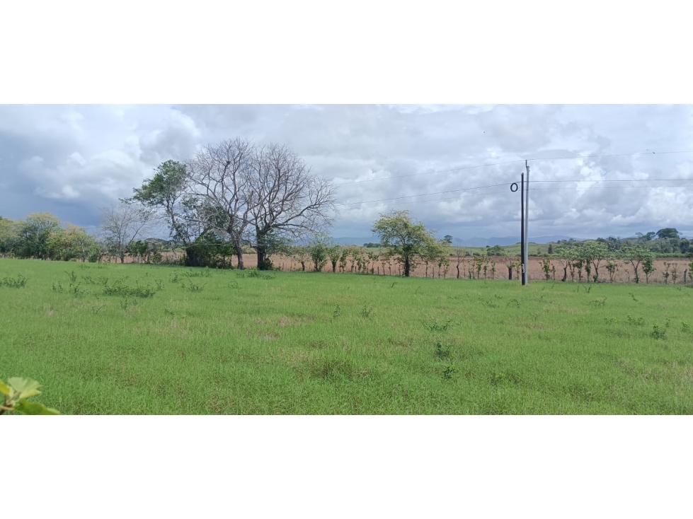 Terreno en venta en Tonosí Vía Bucaro - 6