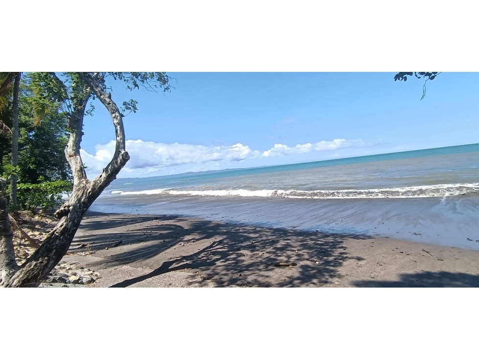Venta de Lote Titulado de 1,005 m² en Tonosí - 3
