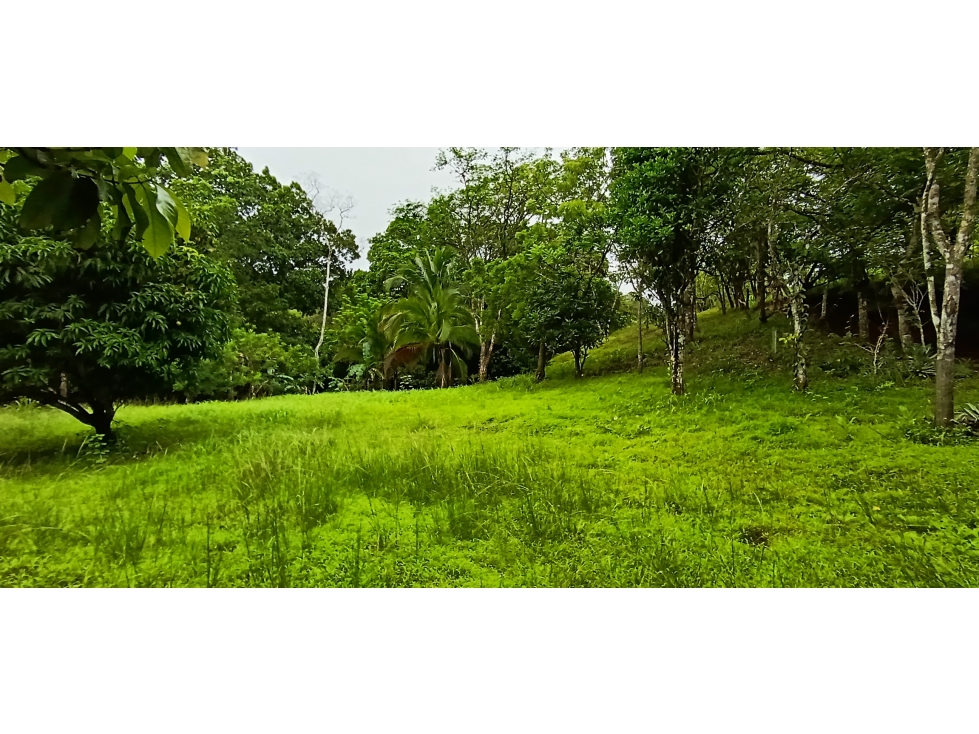 Venta de lote titulado en Bucaro, Tonosí Los Santos - 1