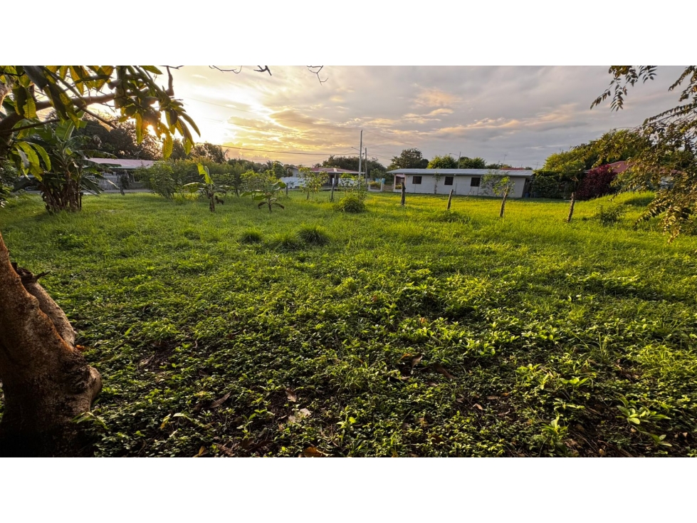 Venta de terreno en La Primavera, las Tablas. - 6