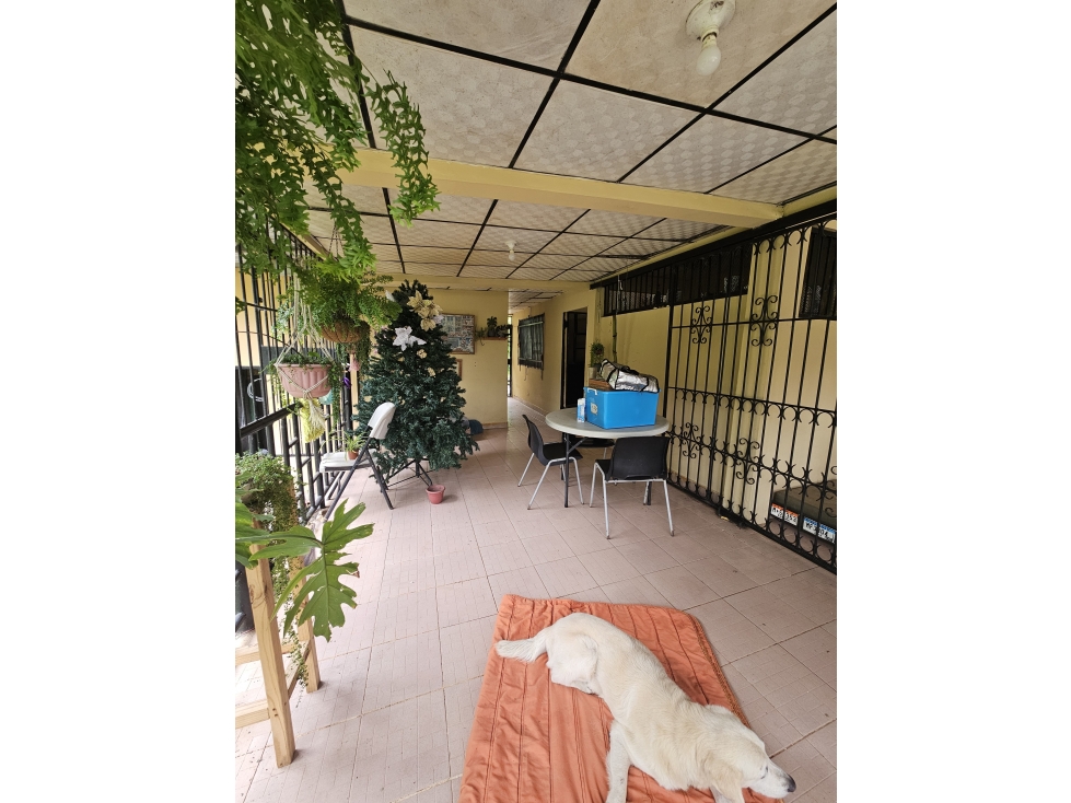 Se Vende Casa con amplio terreno en Arraiján, Panamá Oeste — foto 6