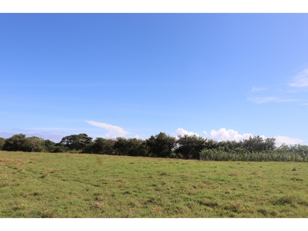 VENTA DE LOTE DE PLAYA LINDA VISTA, POCRÍ - 3