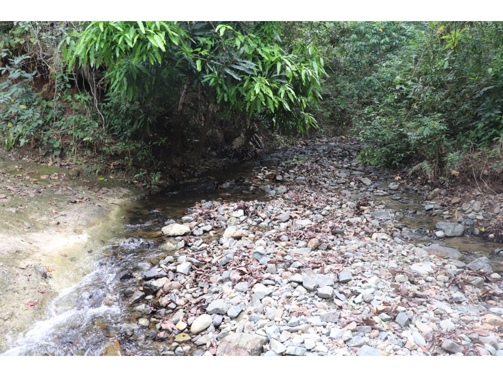 VENTA DE FINCA EL LORO, VÍA LAS TABLAS / TONOSÍ - 4