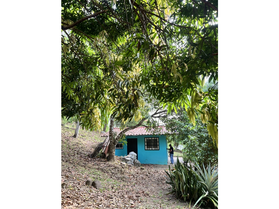 Venta de terreno con casa frente al Río Pacora, Vía hacia San Miguel - 1
