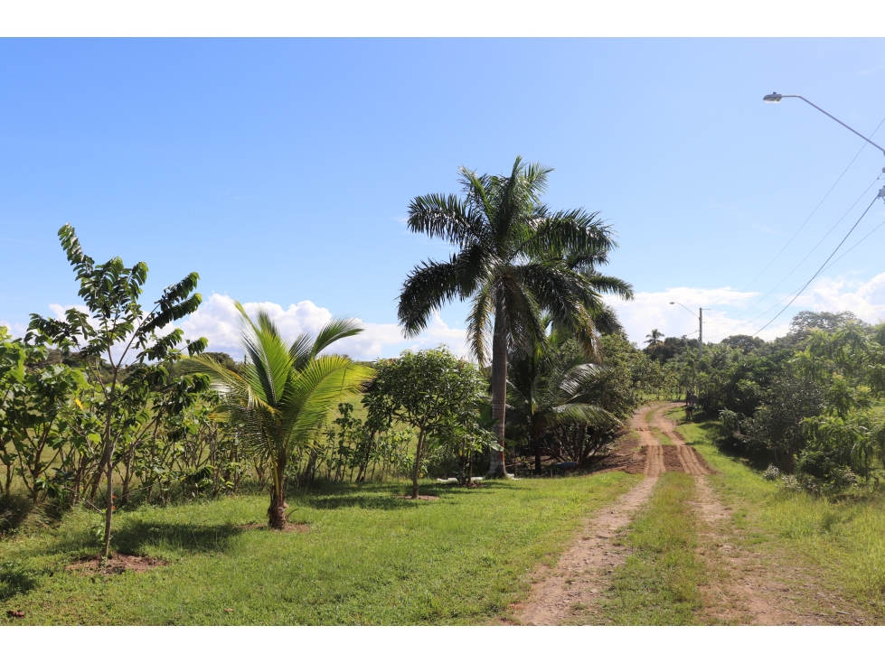 VENTA DE LOTE DE PLAYA LINDA VISTA, POCRÍ - 4