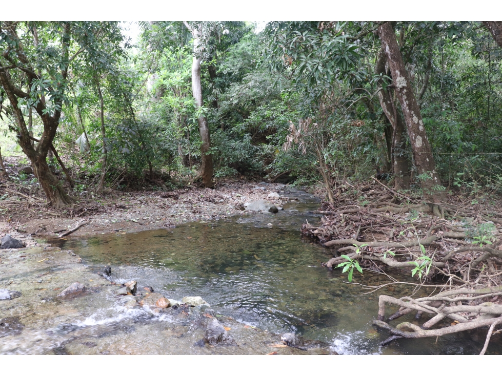 VENTA DE FINCA EL LORO, VÍA LAS TABLAS / TONOSÍ - 5