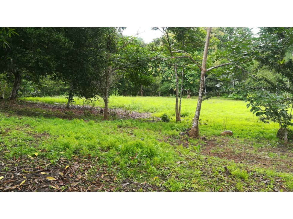 Venta de lote titulado en Bucaro, Tonosí Los Santos - 2