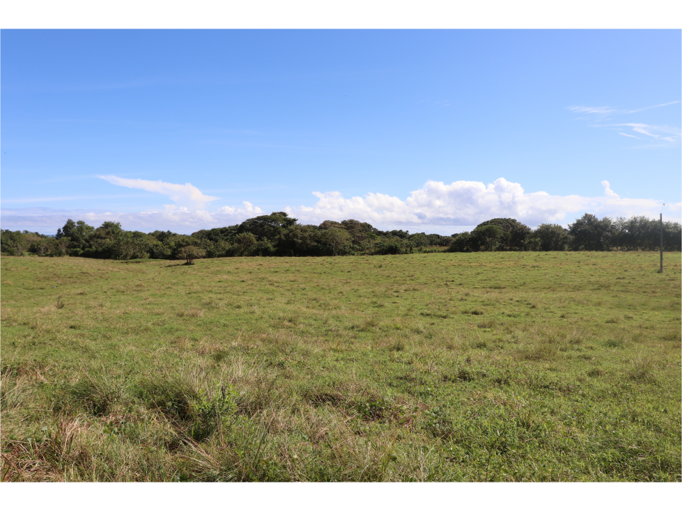 VENTA DE LOTE DE PLAYA LINDA VISTA, POCRÍ - 5