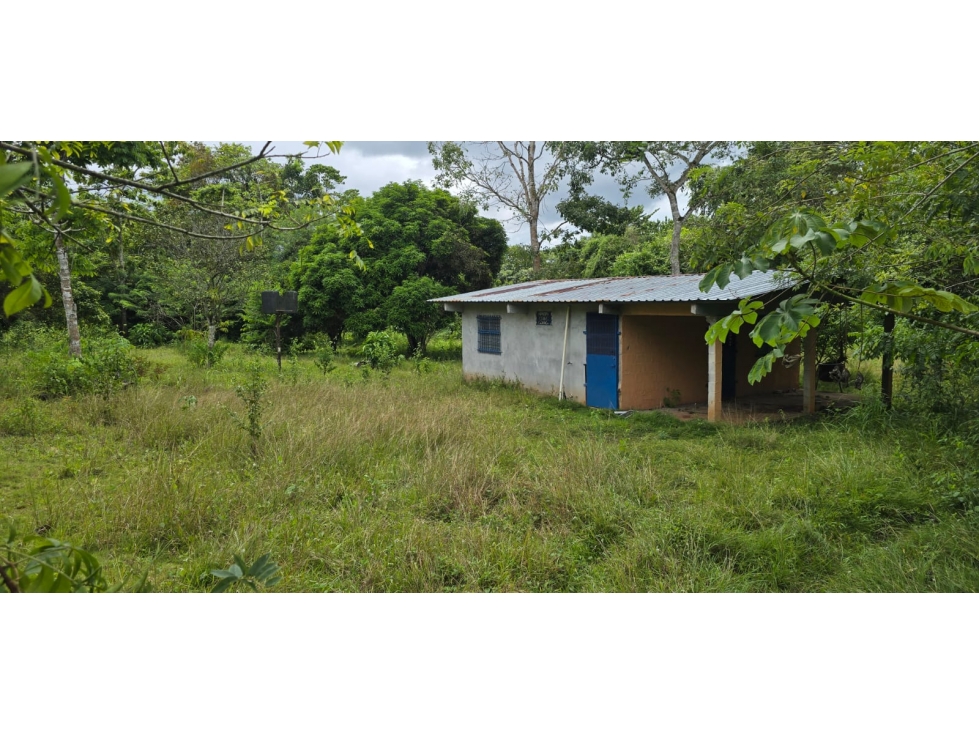 Venta de terrenos en Nuevo Emperador, Arraiján. MY - 3
