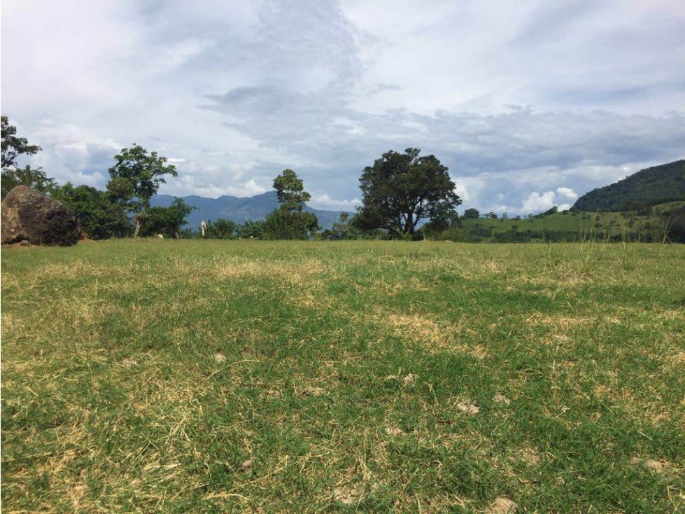 VENTA LOTE JERICO, SUROESTE ANTIOQUEÑO. - 1