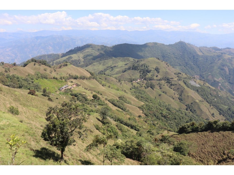VENTA FINCA CARAMANTA, SUROESTE ANTIOQUEÑO - 4