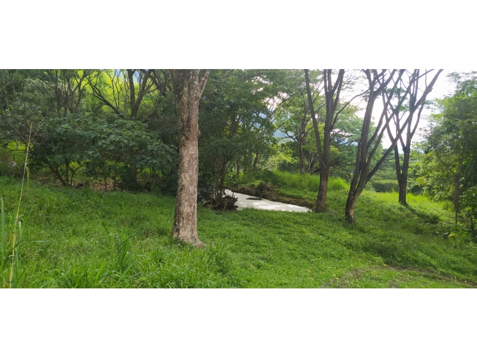 VENTA LOTE, JERICO - SUROESTE ANTIOQUEÑO - 2