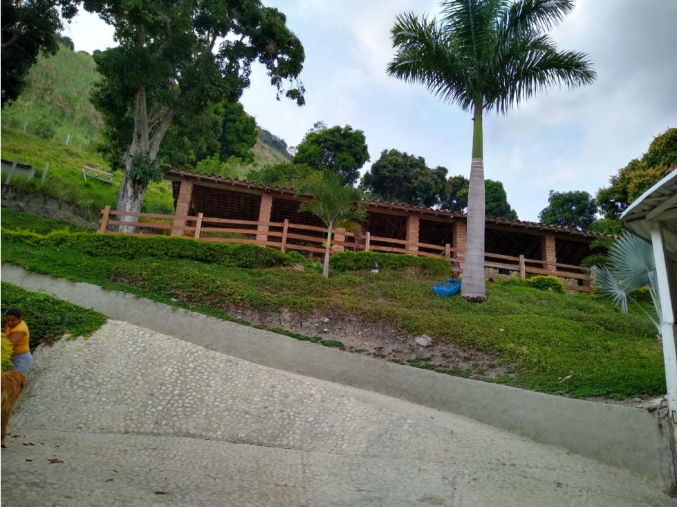 VENTA FINCA SANTA BARBARA, SUROESTE ANTIOQUEÑO - 2