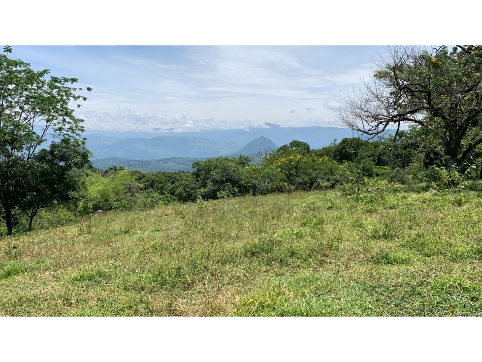 VENTA LOTE TÁMESIS, SUROESTE ANTIOQUEÑO - 5