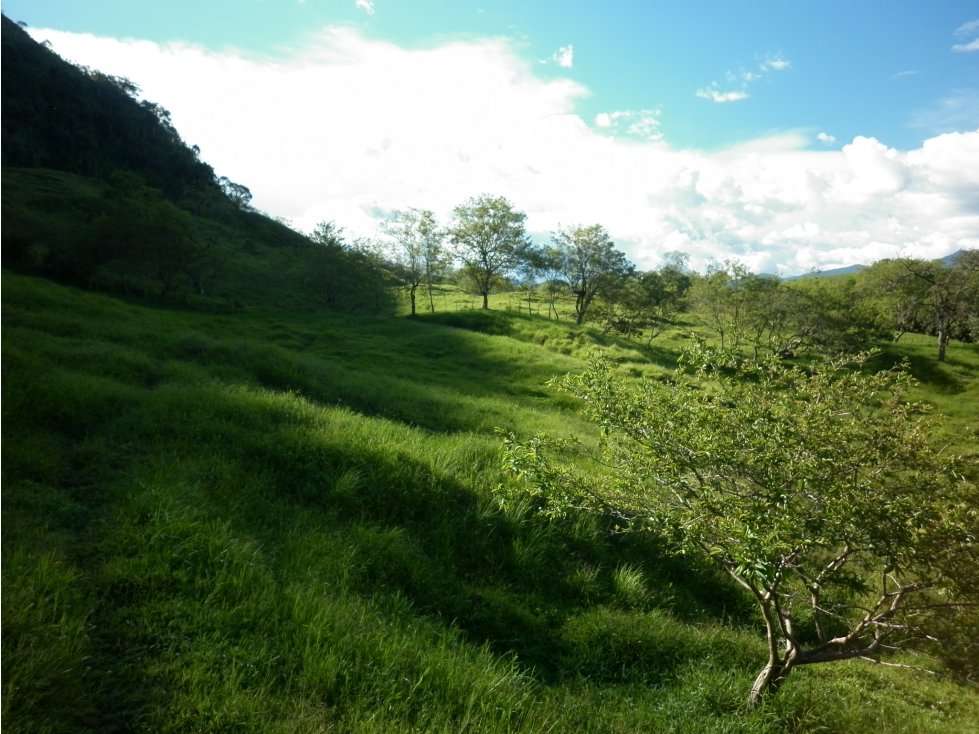 Lote / Terreno Suroeste Antioqueño Codigo 76644 - 4
