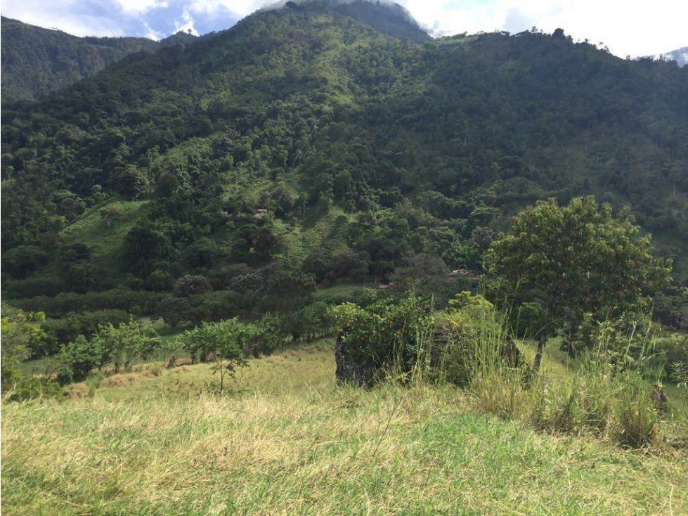 VENTA LOTE JERICO, SUROESTE ANTIOQUEÑO. - 6