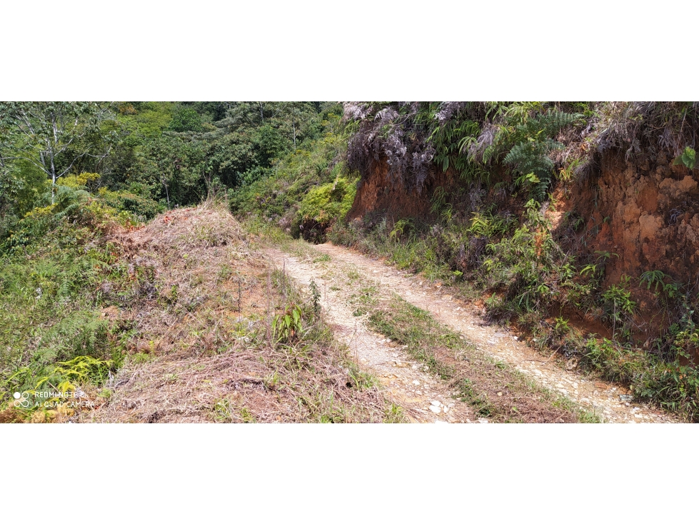 VENTA LOTE LA ESTRELLA ANTIOQUIA - 6