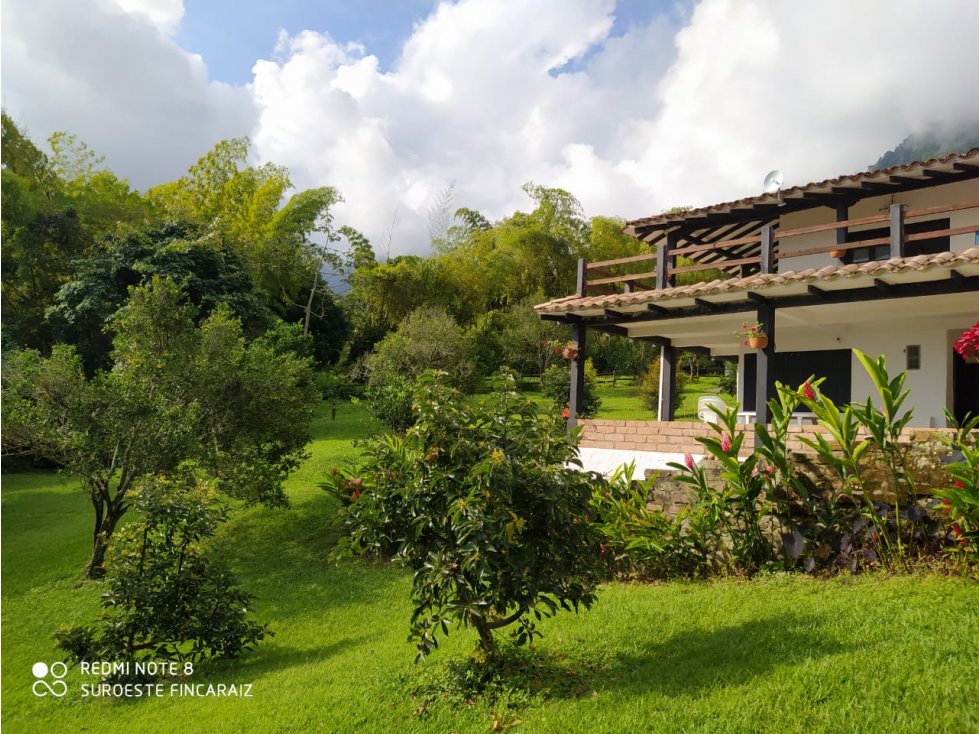 VENTA FINCA JERICO, SUROESTE ANTIOQUEÑO - 3