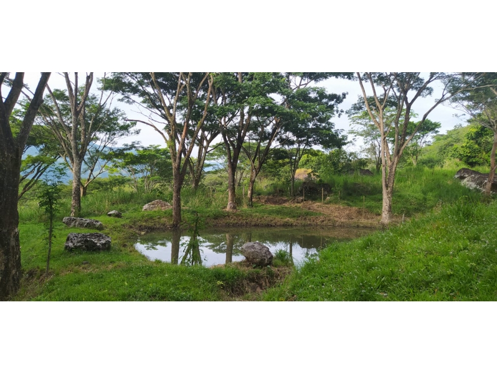 VENTA LOTE, JERICO - SUROESTE ANTIOQUEÑO - 1